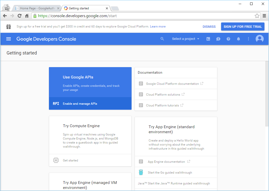 Google Developer Console